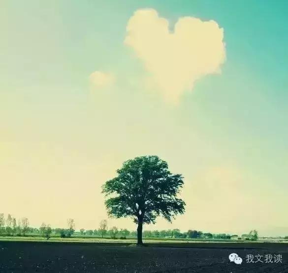 女儿国国王朱琳演唱女儿情完整版,女儿国朱琳朗诵致橡树