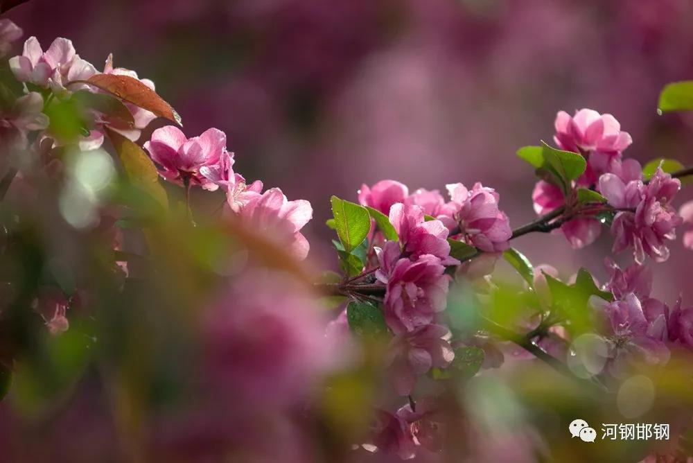 娌抽挗閭挗閾佽矾,娌抽挗閭挗楂樼倝