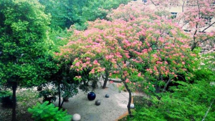 河北师大附中学校是干嘛的,河北师大附中学校好不好