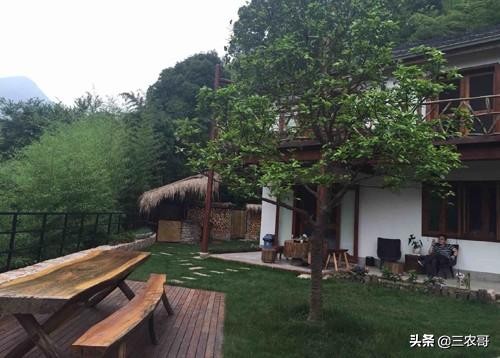 适合农村做的项目投资少见效快,农村适合做哪些创业小项目