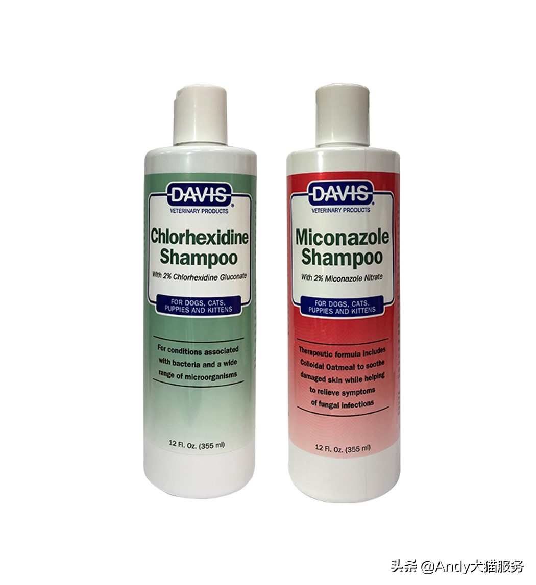 爱犬皮肤病是什么病,爱犬健康的注意事项