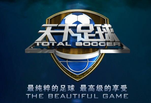 贺炜天下足球十大催泪解说,天下足球十大催泪解说第一名