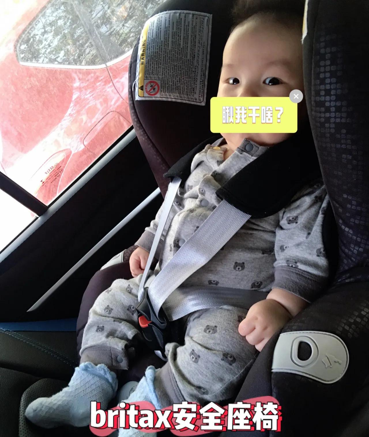 秋高气爽出游第一攻略,自驾游亲子游玩地点推荐