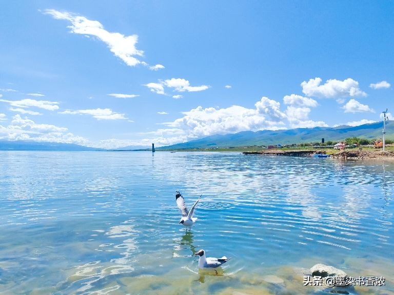 青海湖茶卡盐湖一日游跟团,青海湖茶卡盐湖敦煌