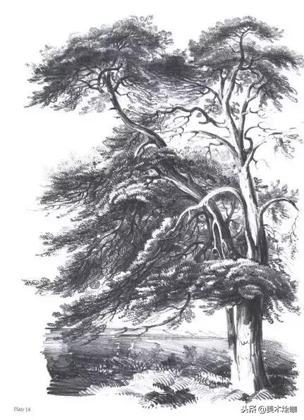 40张经典素描,40张经典素描风景图快拿去临摹吧