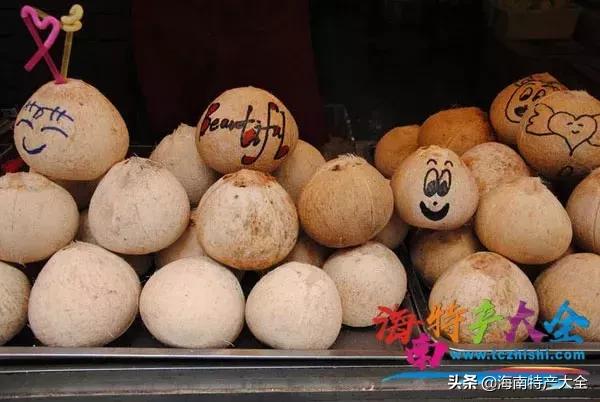 椰子在海南话有什么别的意思吗,椰子在海南的地位