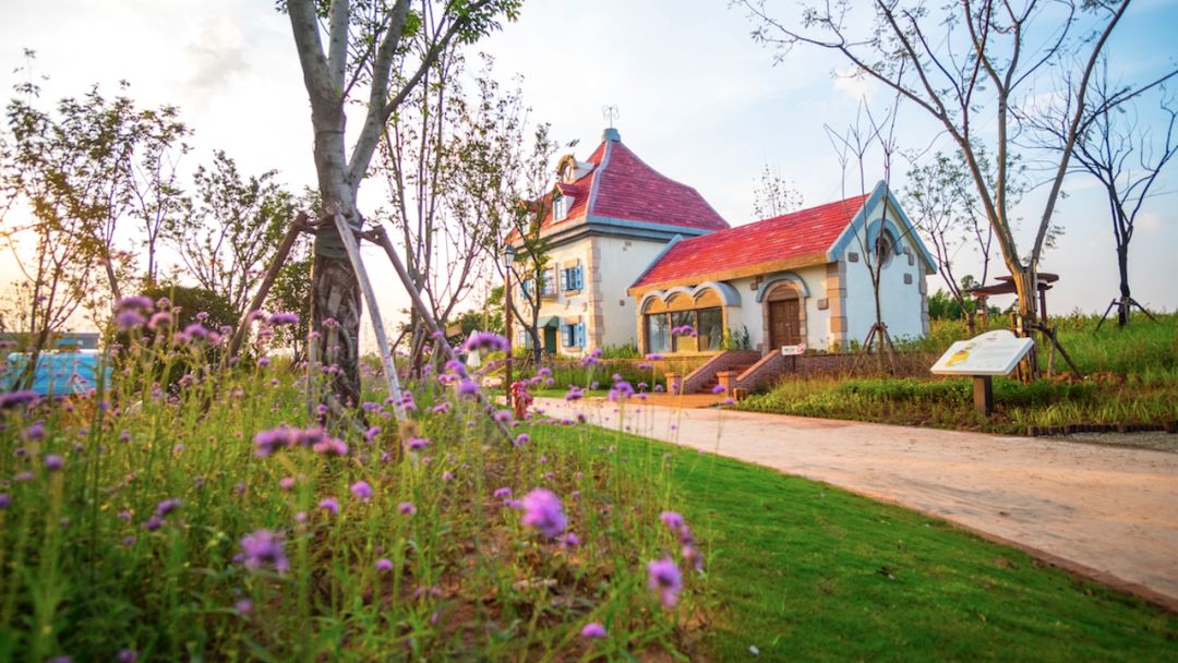 当网红“阿狸”遇到田野农场,实现IP变现新路径