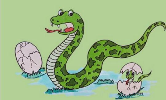 宝宝蛇简笔画简单又好看,儿童简笔画图片蛇