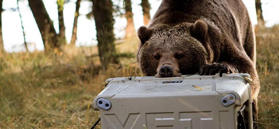 和supreme齐名的品牌,和supreme同款的国潮