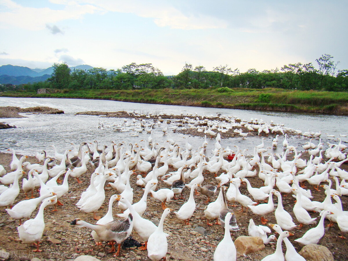 2024湖北宜昌招商引资项目,宜昌500亿招商项目