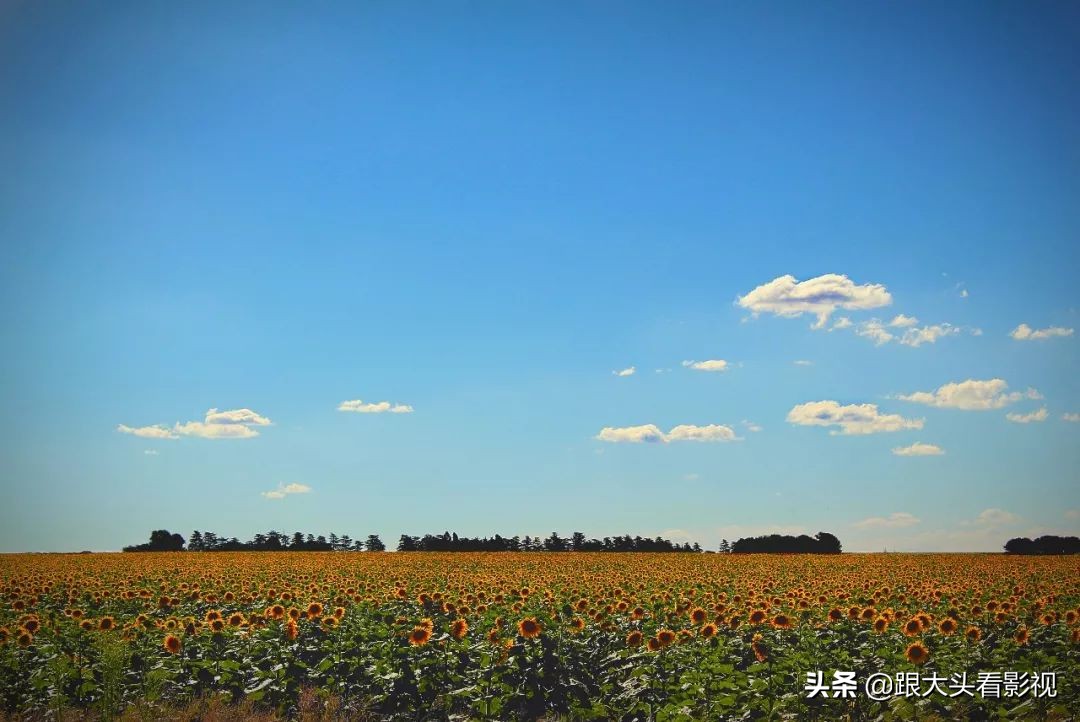 令人动容曾经支教的老师,支教老师的心酸与泪水