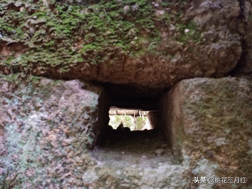 刘茂兰:含笑的影子