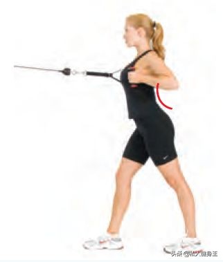 平板支撑的正确姿势塌腰,平板支撑怎么知道塌没塌腰