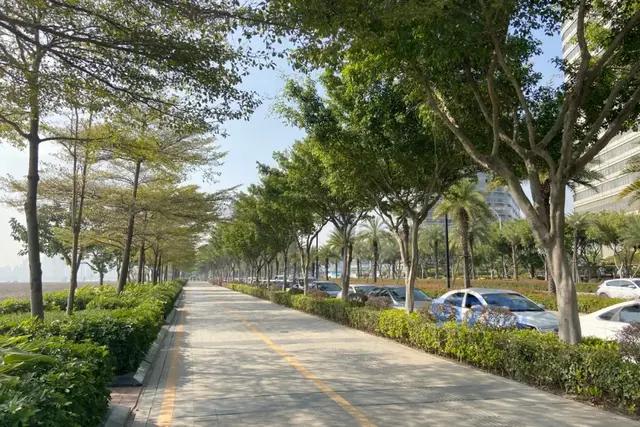 厦门海沧天源开盘价,海沧天源小区的房价是多少