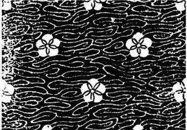 寸锦寸金指的是蜀锦还是云锦,蜀锦名贵吗