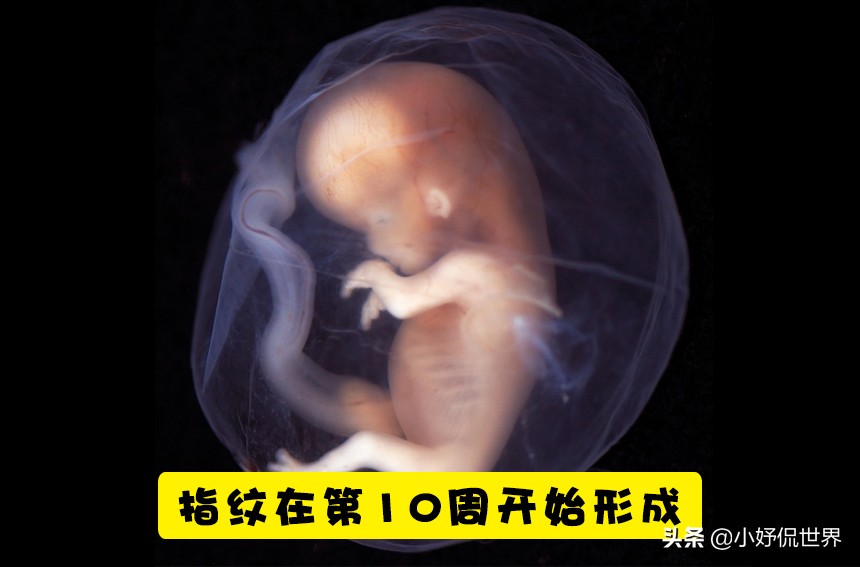 有关怀孕分娩的知识,怀孕时要知道的一些新生儿常识