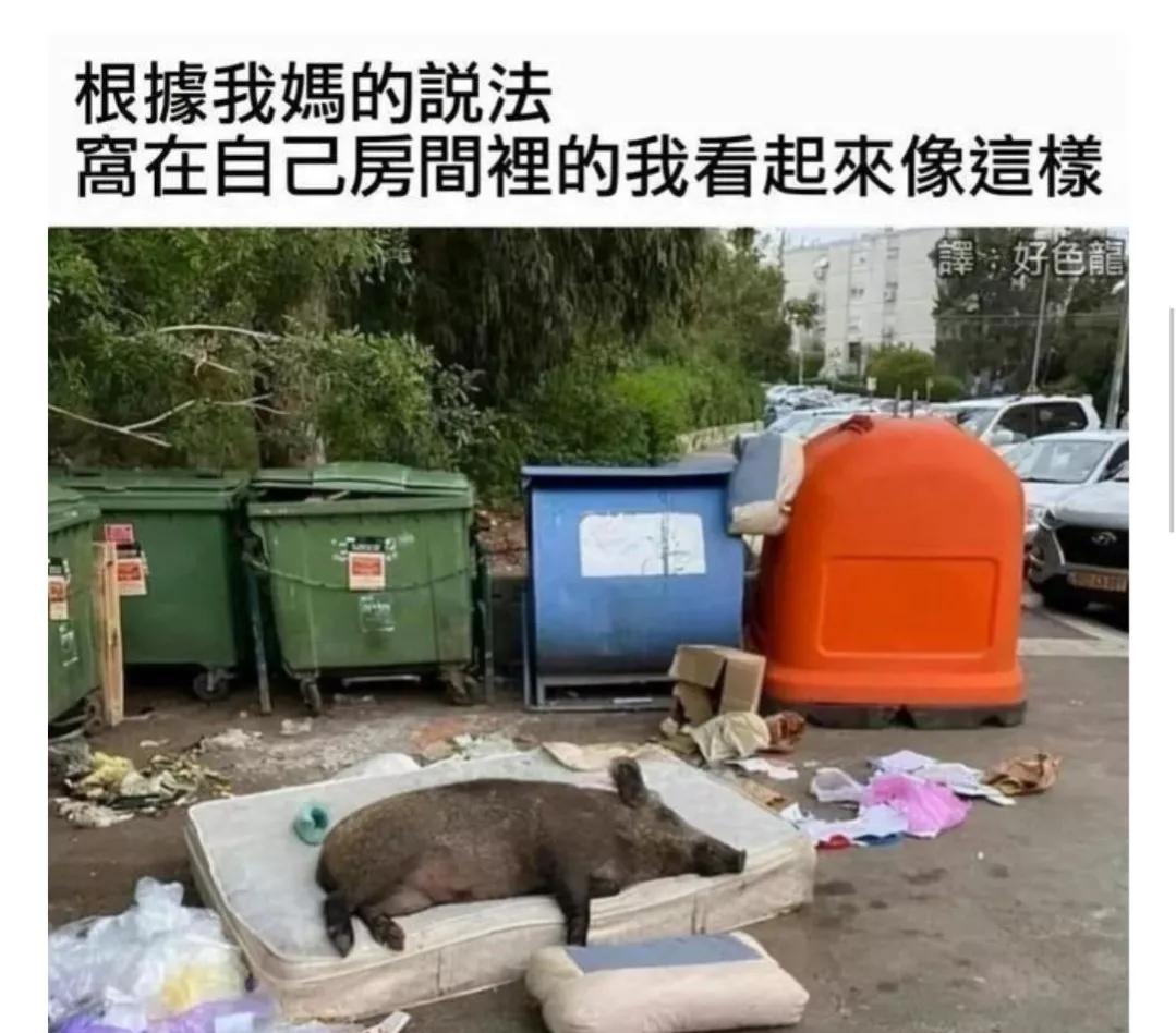 姐姐和姐夫的搞笑对话,盘点姐夫和小姨子之间的搞笑对话