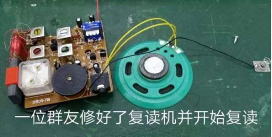 重生萝莉岛动漫,重生萝莉岛到底好不好玩