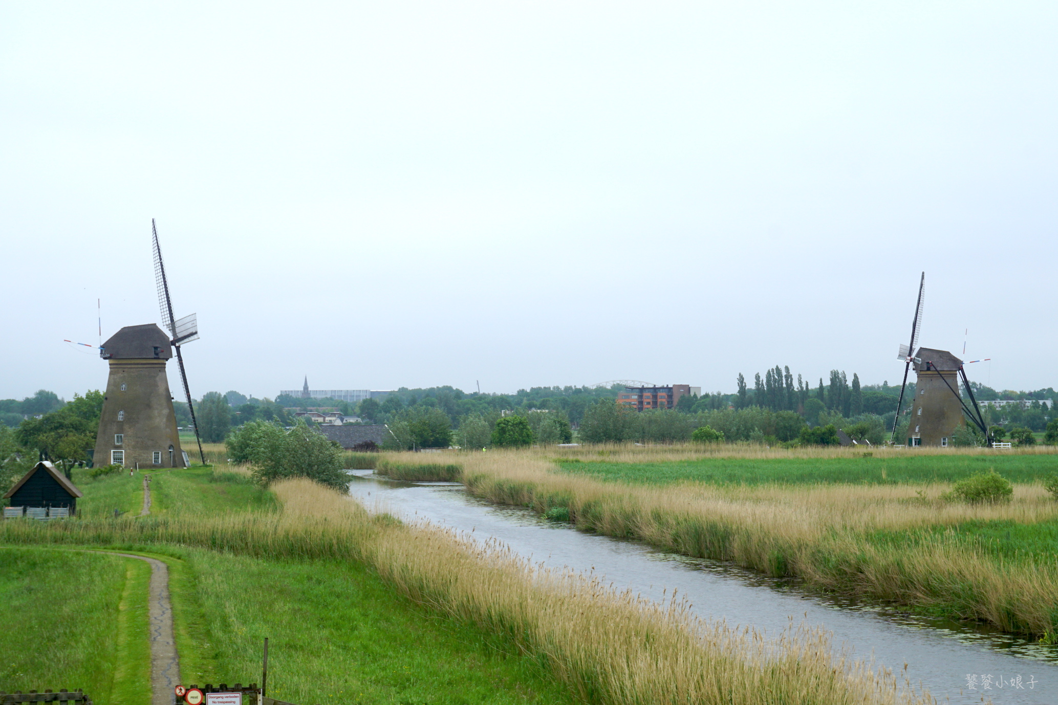 荷兰风车为什么这么多,荷兰为什么被称为风车国