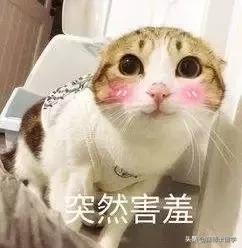 盘点那些经常被误会的英语俚语,求美式英语的俚语越多越好