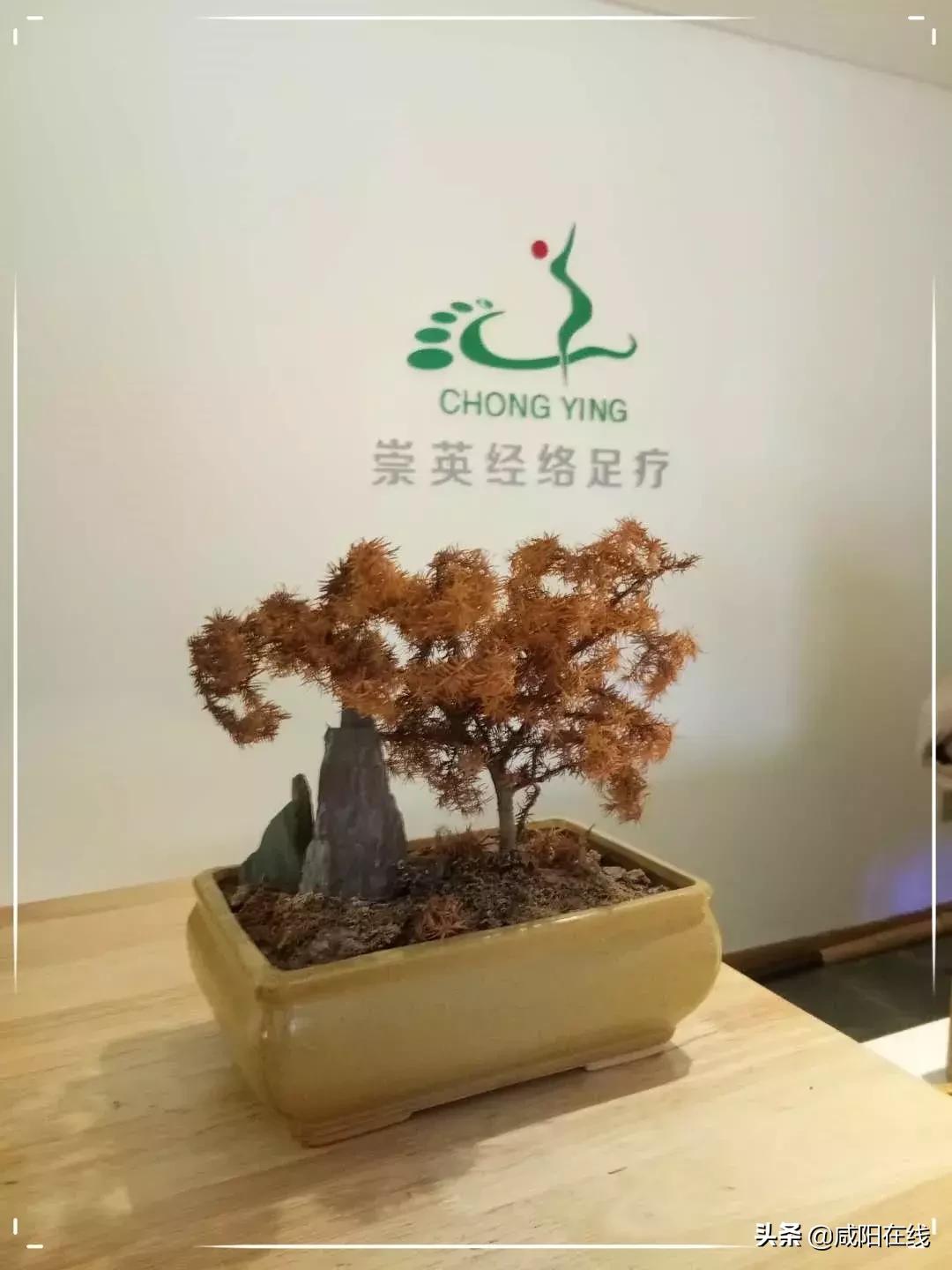 西安经络足疗,崇英经络足疗西安