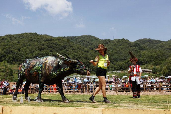 水牛身上画画,水牛身上画了牛郎织女画面