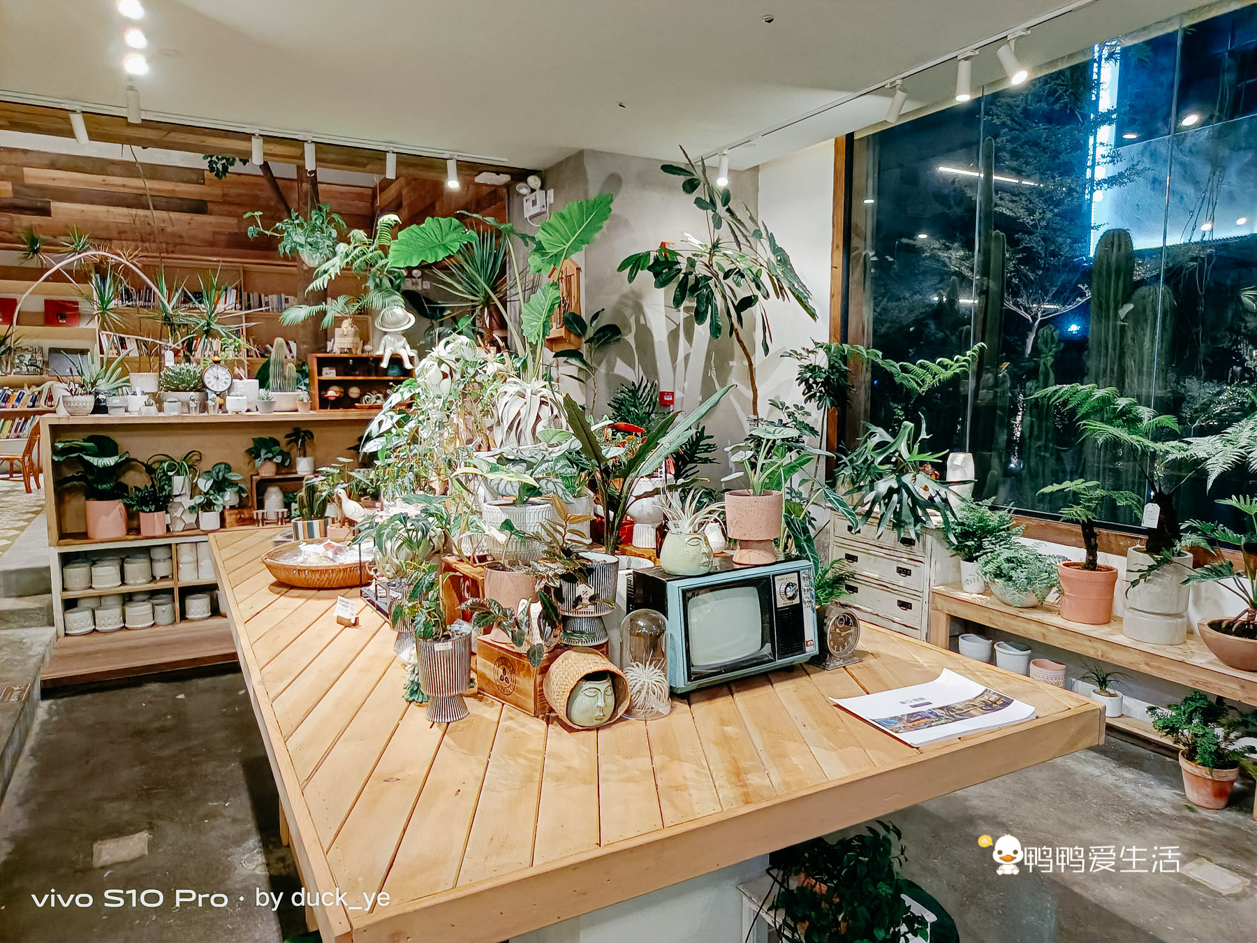 厦门华美空间藏一个绝美拍照地，误入仙境，可吃饭可拍照可看书