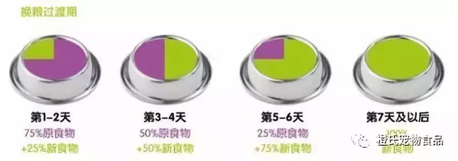 拒食，呕吐，拉肚子，你经历过换粮期的绝望吗！