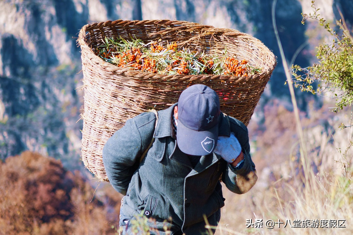 张家口有什么峡谷,张家口有什么大峡谷