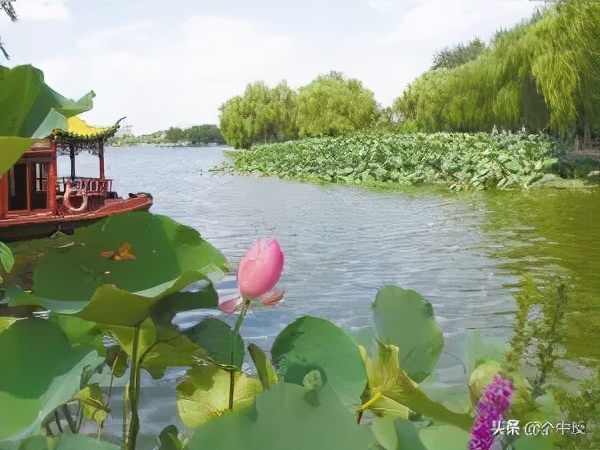 李白：昔我游齐都，登华不注峰。兹山何峻秀，绿翠如芙蓉...