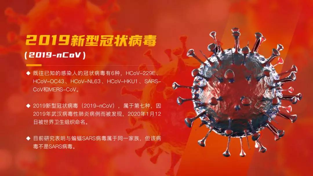 如何自己写一篇ppt,一位妹子花八个小时制作的ppt