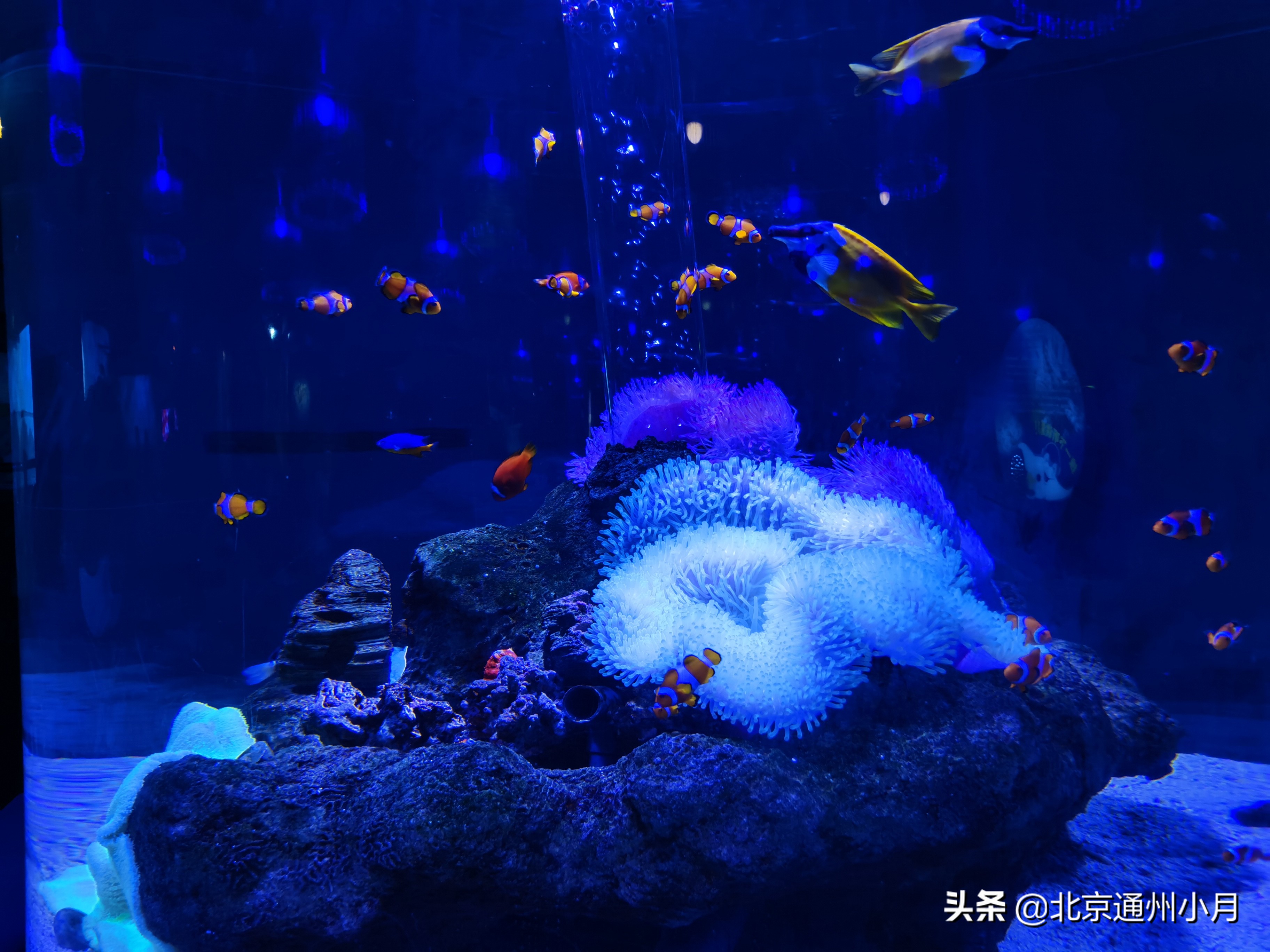 值得去看的海底世界,北京市海底世界门票多少钱