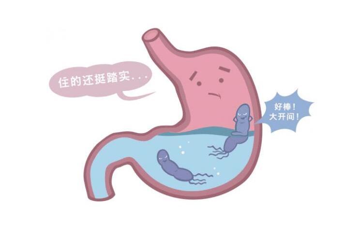 幽门螺杆菌阳性医生说不用治,幽门螺杆菌阳性非治不可吗