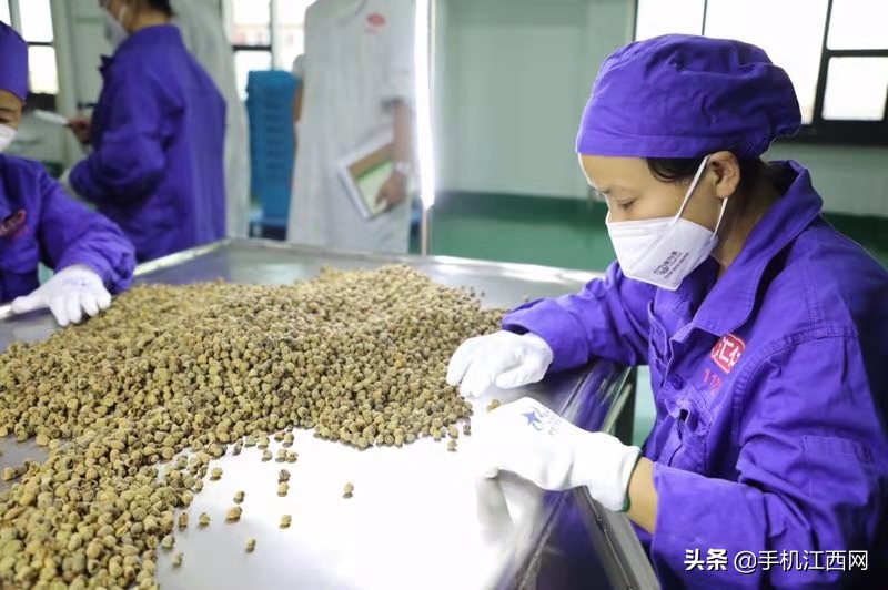铻嶅獟鑱氱劍鏍忕洰,鍏ㄥ浗濯掍綋鑱氱劍鍥涘窛