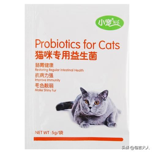 猫咪需要哪些营养品和生活必需品,猫咪必需品和智商税