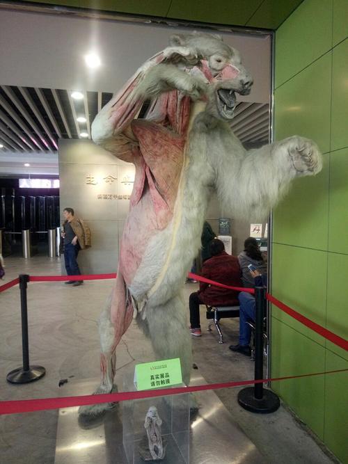 给孩子的自然科普书,3-6岁科技大探秘五大科普知识绘本