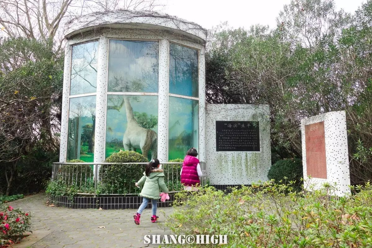 记者探访广州动物园,动物园观察动物