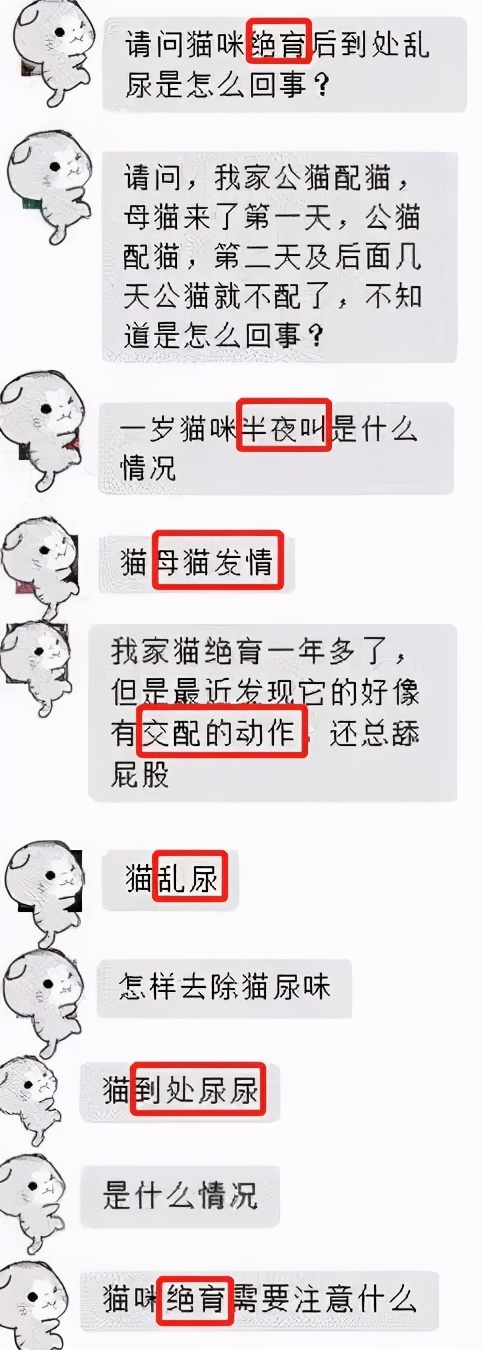 猫咪发情了怎么办?做好这几点,你也是个专业的铲屎官