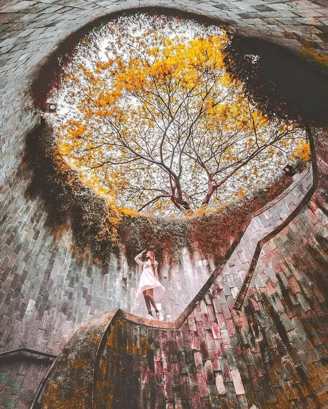 当景观遇上设计,当景观植物遇见灯光