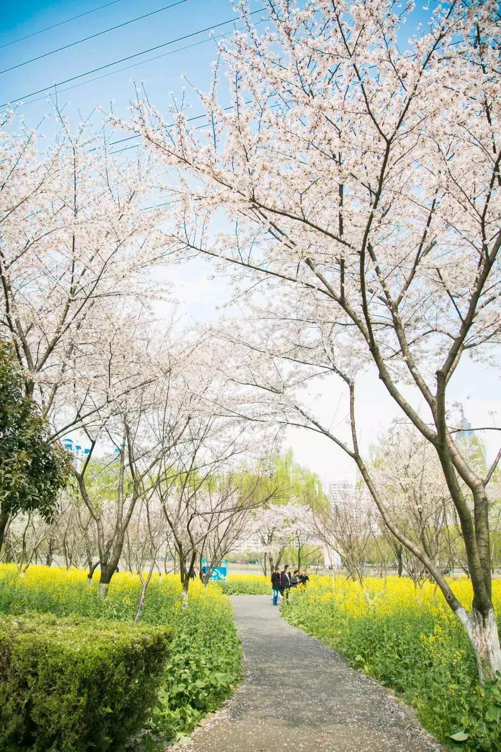 武汉最新古与潮室内网红打卡点,武汉周边新晋7大网红打卡地