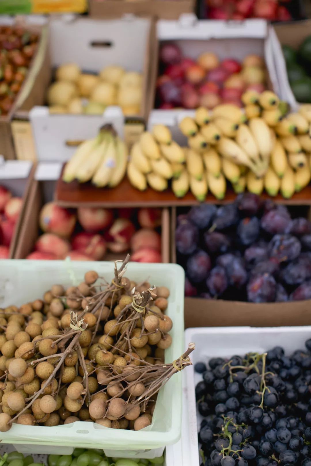 欧美90年代模特街拍,90年代超模街拍