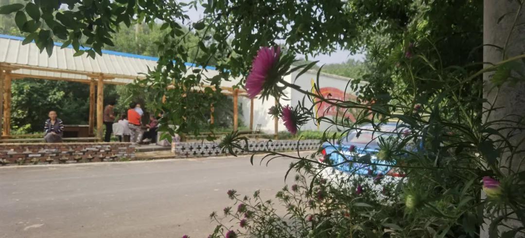 研泥酥梨特别甜——记侯城乡研泥村“三产”融合助推乡村振兴