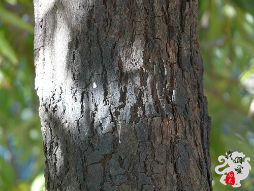 唐朝瓷器大量出口,唐朝炫富三件宝