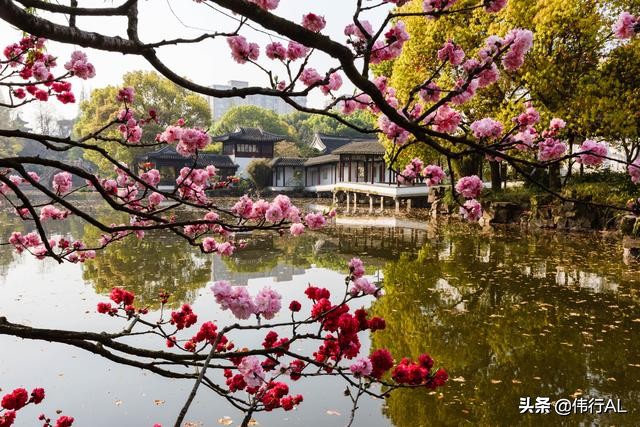 苏州园林之留园中国四大名园之一,苏州园林之美