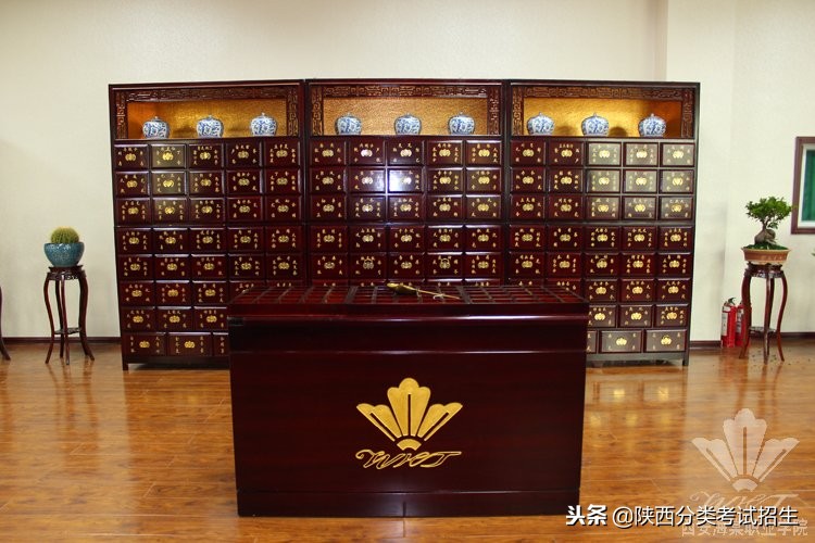 西安海棠职业学院学费,西安海棠职业学院报名