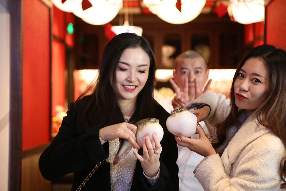 天正河豚,天正单冻河豚团购