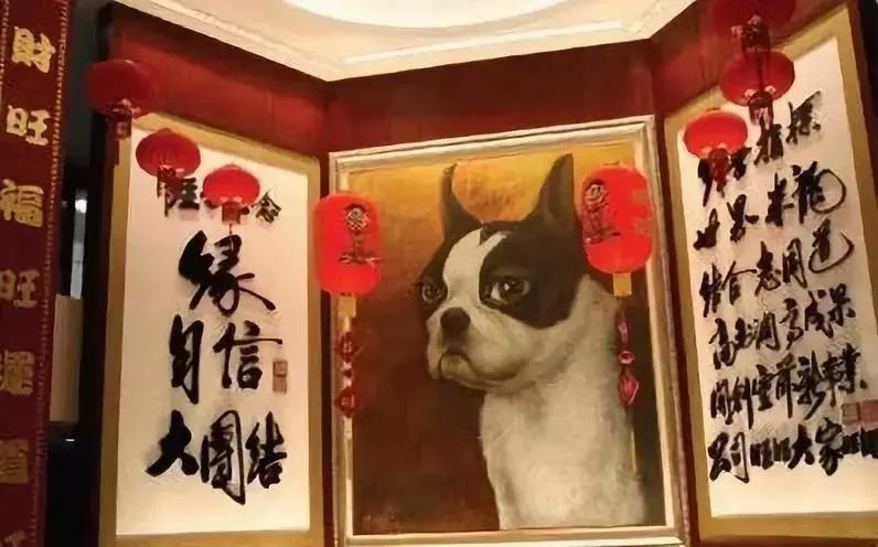 旺旺开的医院,旺旺医院坑不坑