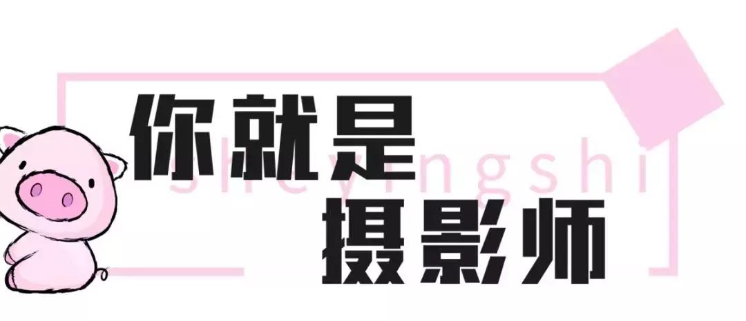 美炸了！天津又一家打卡圣地！自选风格+服装任选+底片全送...