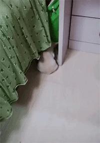 买了个保温杯,结果里面塞满了口红,这是买到假货了?