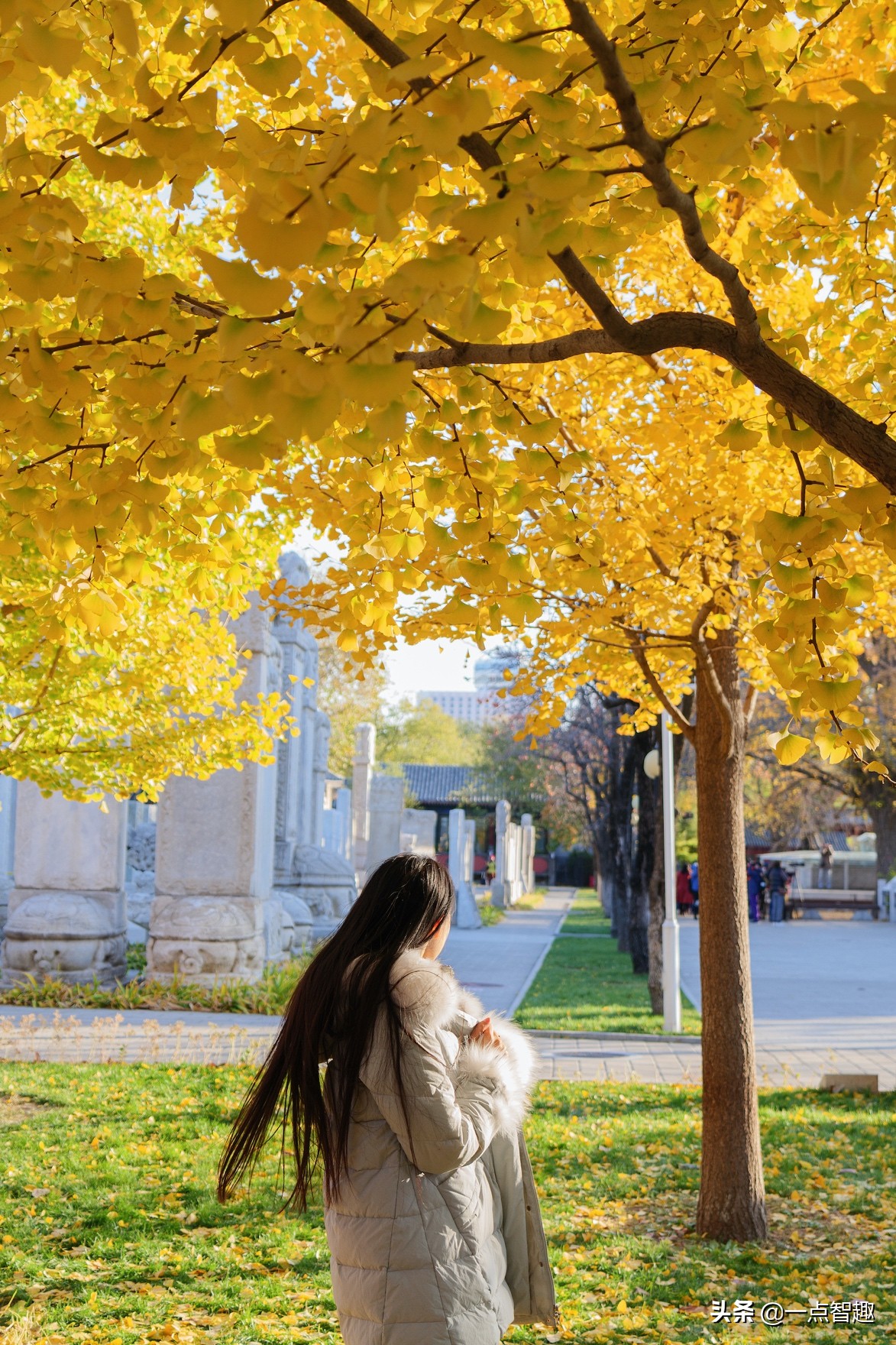 松下16-35f4,松下16-35f4和20-60镜头对比